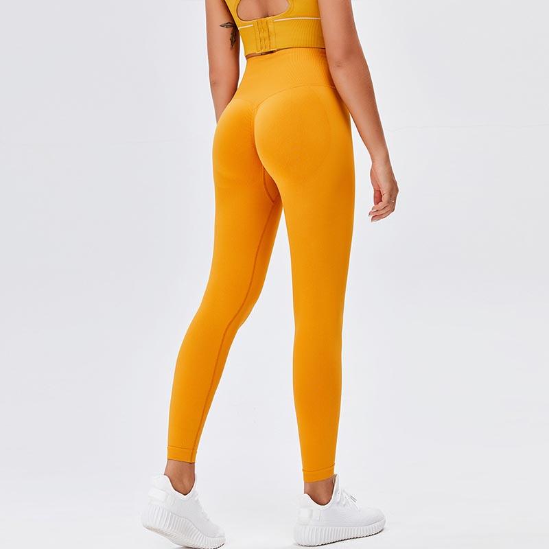 Women's High-Waist Sports Fitness Leggings - back view