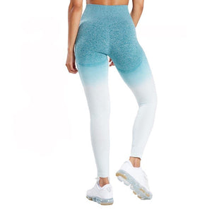 High Waist Ombre Seamless Gym Leggings