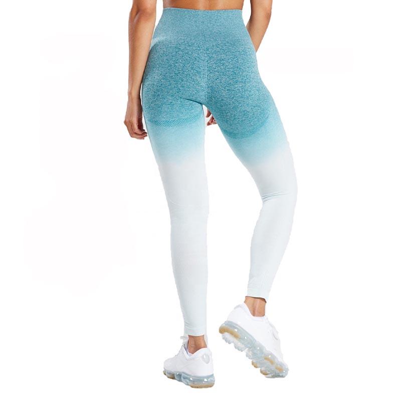 High Waist Ombre Seamless Gym Leggings