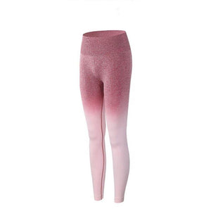 High Waist Ombre Seamless Gym Leggings