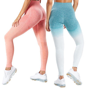 High Waist Ombre Seamless Gym Leggings